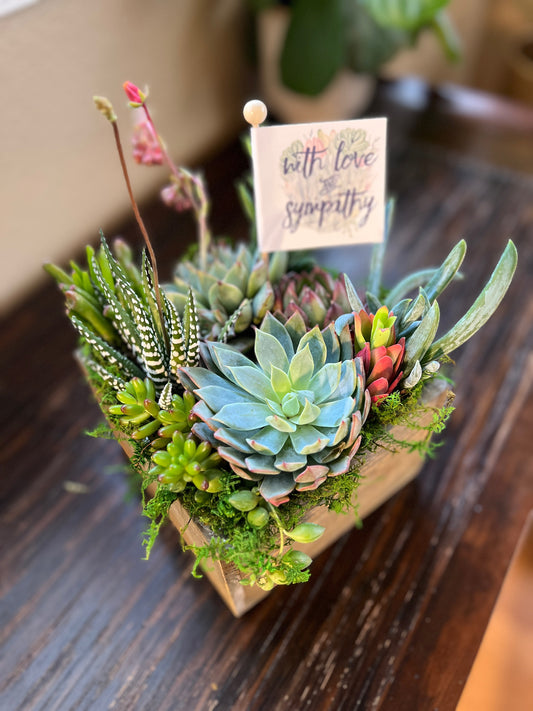 Succulent Sympathy Gift Arrangement with Flag Tag