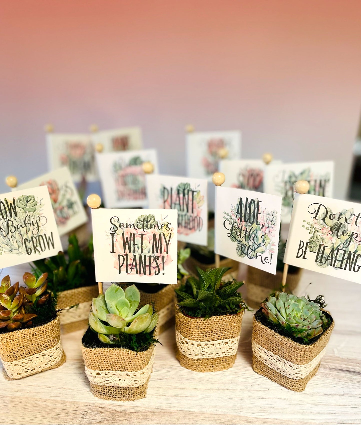Succulent Baby Shower Favors, and Succulent Theme Stick Tags with Plant and Baby Puns