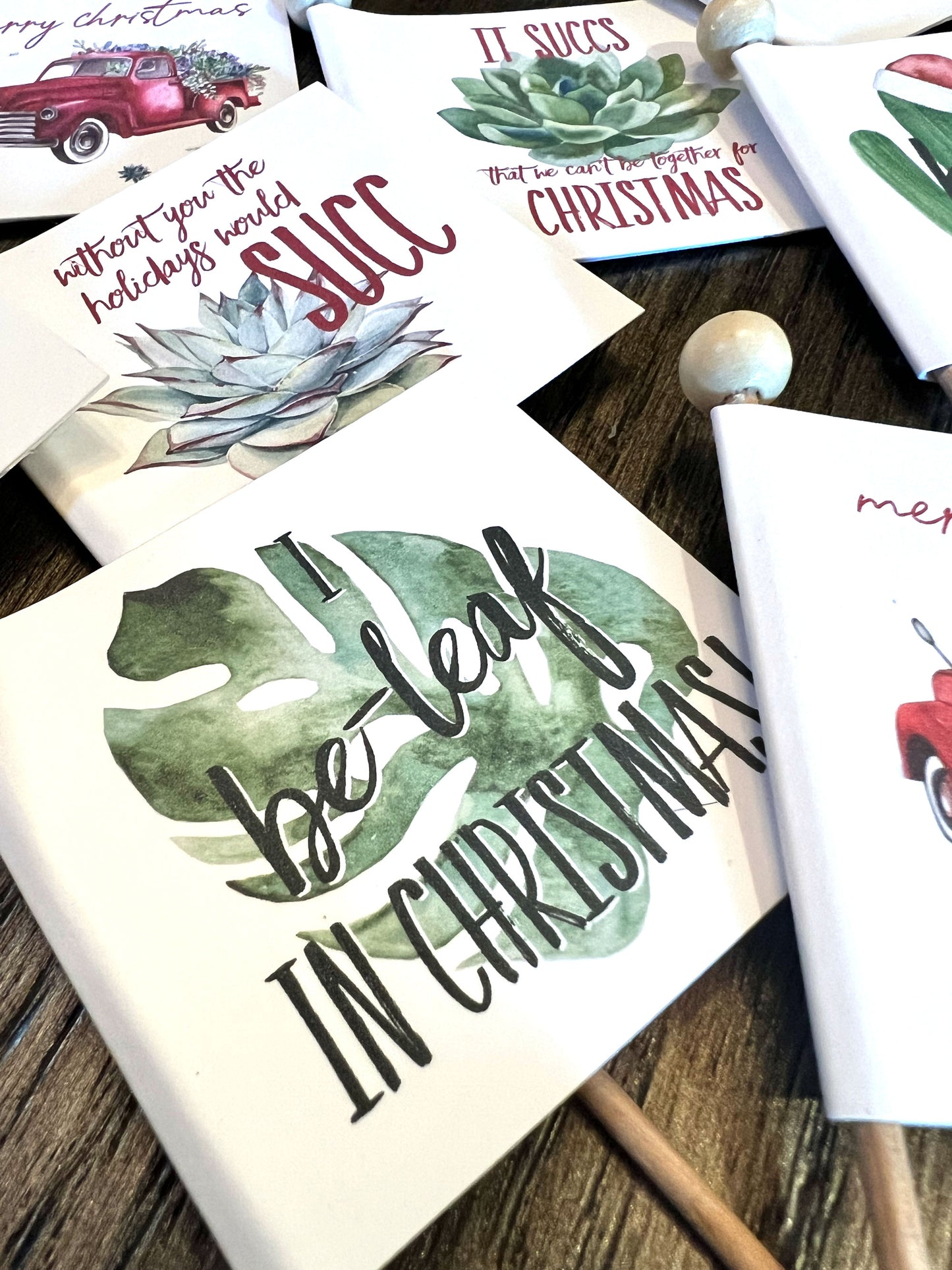 Signature Holiday Succ Box, Christmas Succulent Arrangement with Fairy Lights and Flag Tag, Live Plants for Holiday Gift