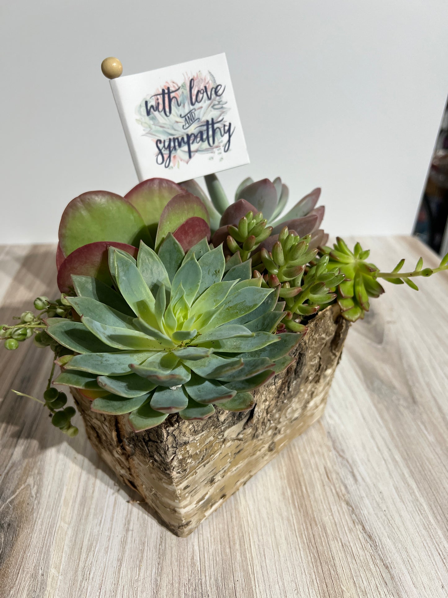Succulent Sympathy Gift Arrangement with Flag Tag