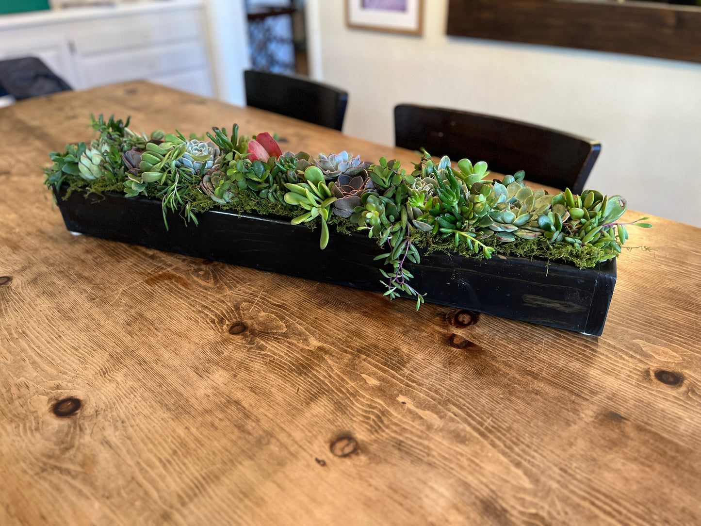 Long Box Succulent Arrangement, Low Profile Custom Centerpiece
