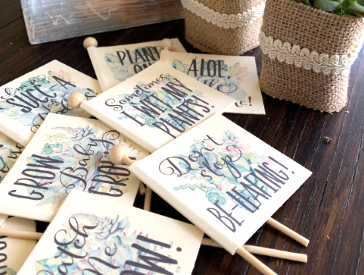 Succulent Baby Shower Favors, and Succulent Theme Stick Tags with Plant and Baby Puns