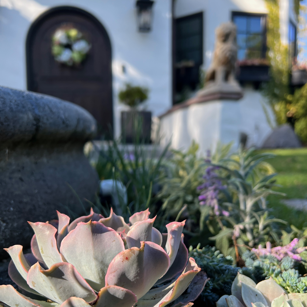 Landscape Services, Monthly Potted Landscape Maintenance