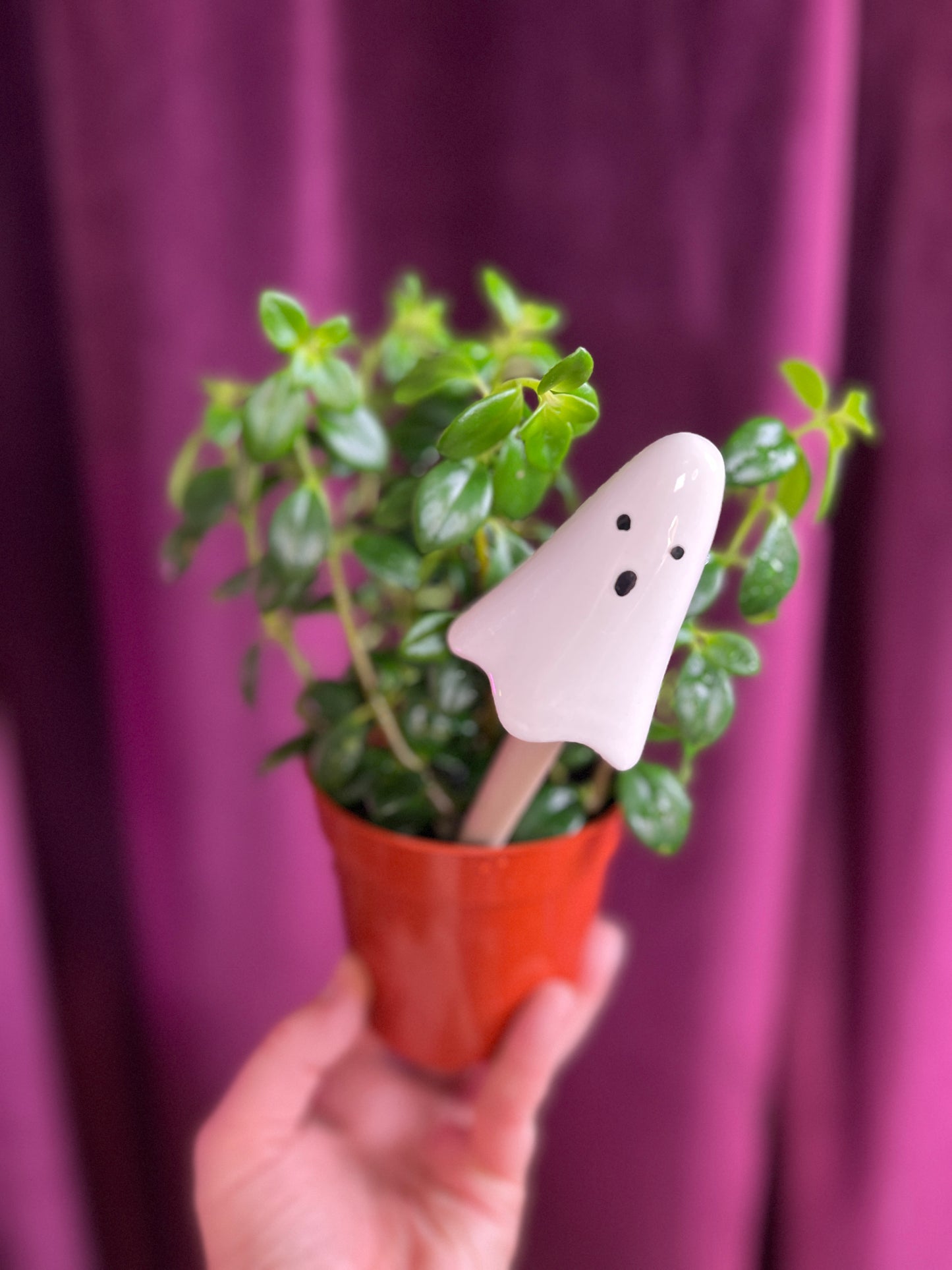 Ghost Plant Sticks, Plant Decor, Ceramic Plant Stick