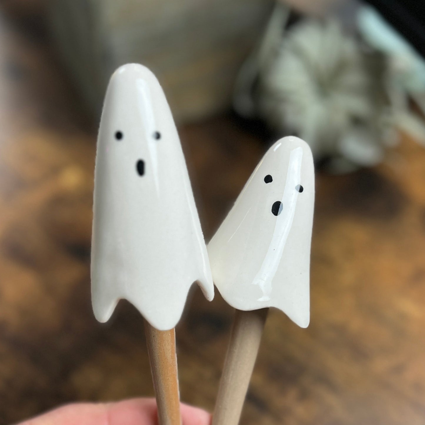 Ghost Plant Sticks, Plant Decor, Ceramic Plant Stick