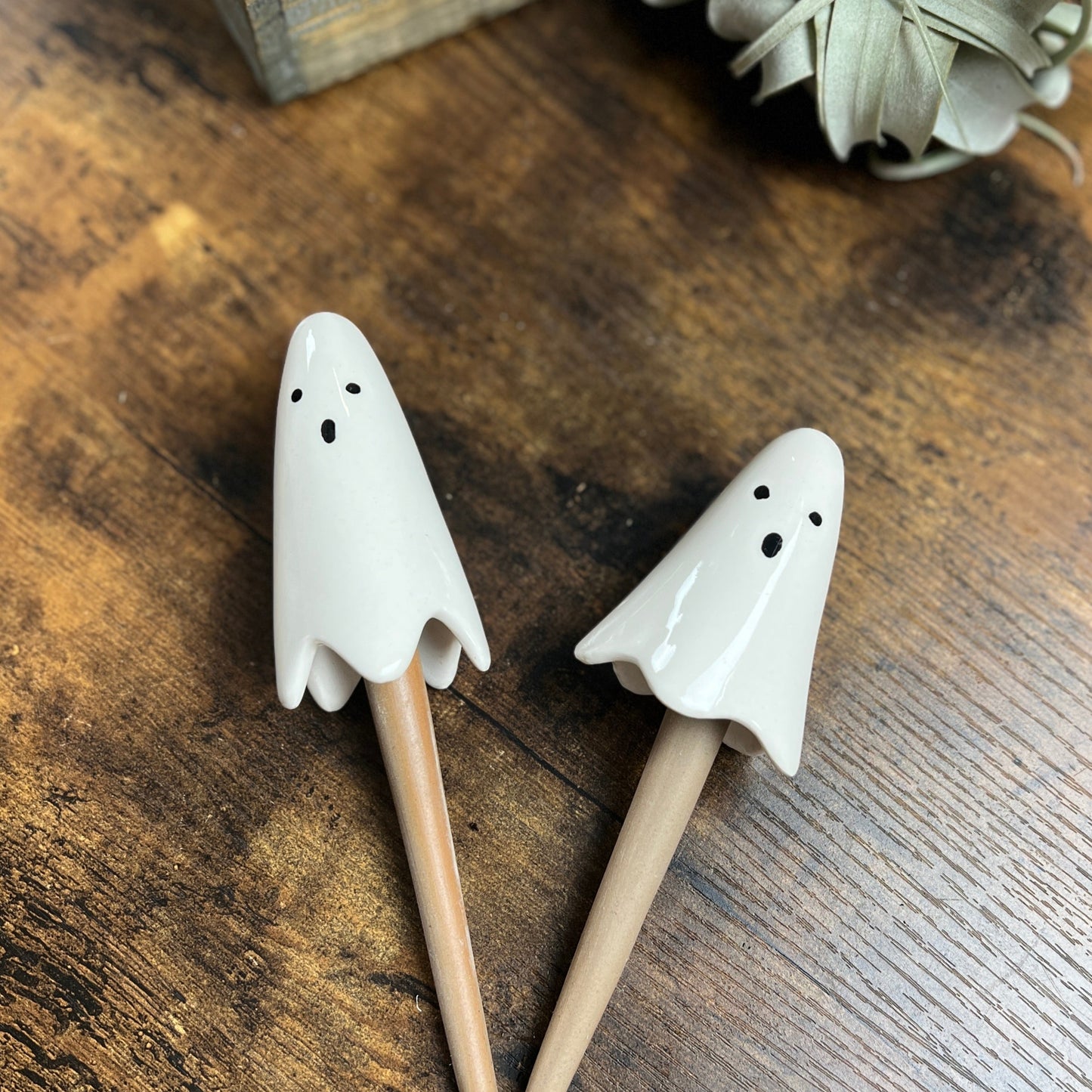 Ghost Plant Sticks, Plant Decor, Ceramic Plant Stick