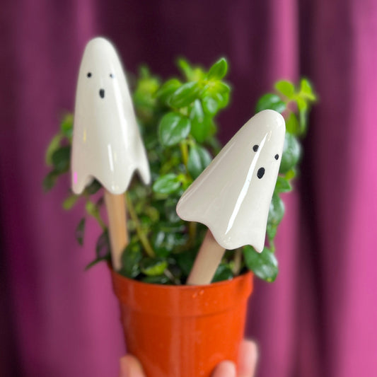 Ghost Plant Sticks, Plant Decor, Ceramic Plant Stick