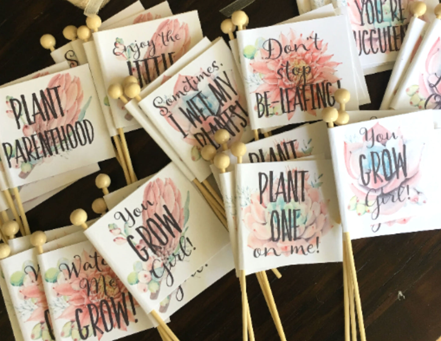 Succulent Baby Shower Favors, and Succulent Theme Stick Tags with Plant and Baby Puns