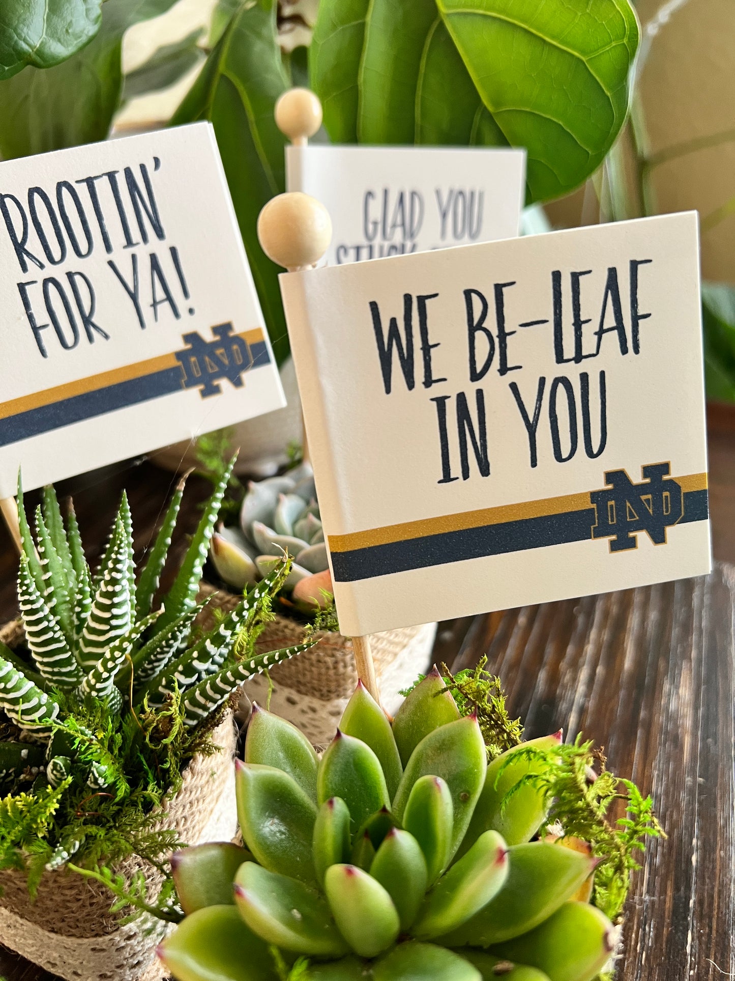 Custom Grad Party Favors School Colors