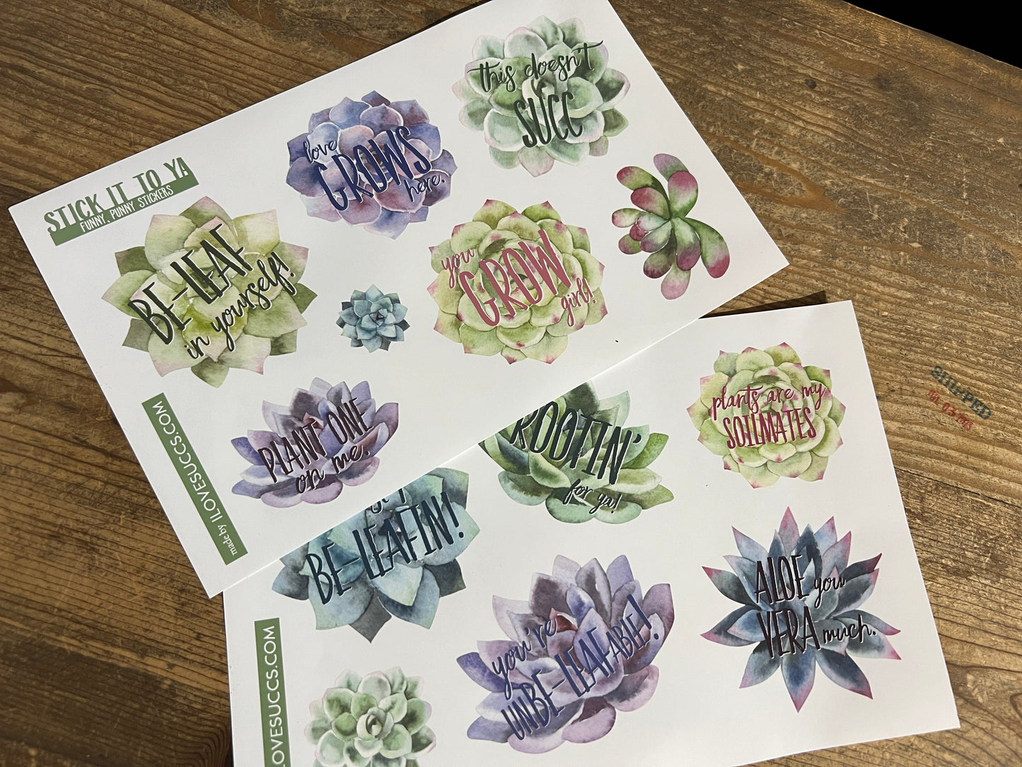 Succulent Stickers with Plant Puns, Variety Packs
