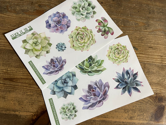 Succulent Stickers with Plant Puns, Variety Packs