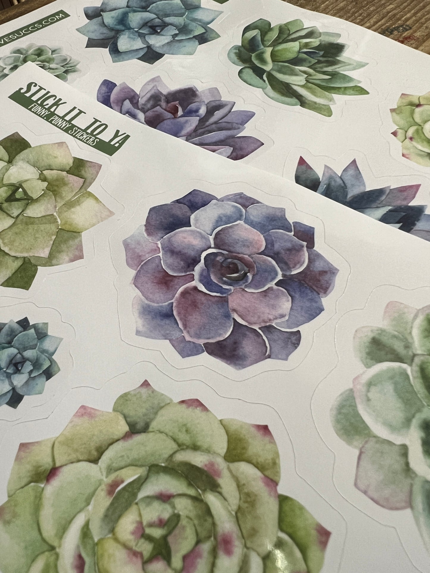 Succulent Stickers with Plant Puns, Variety Packs