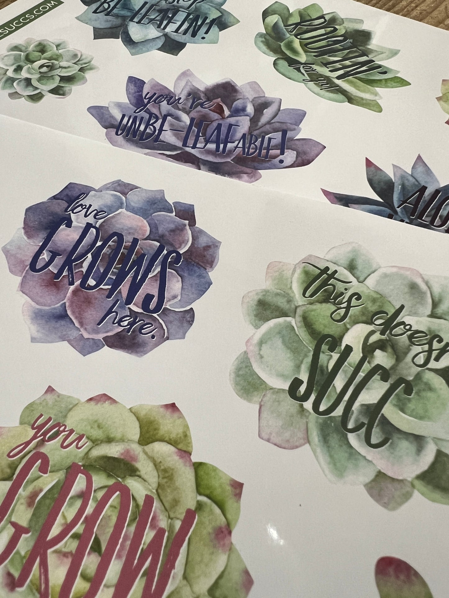 Succulent Stickers with Plant Puns, Variety Packs