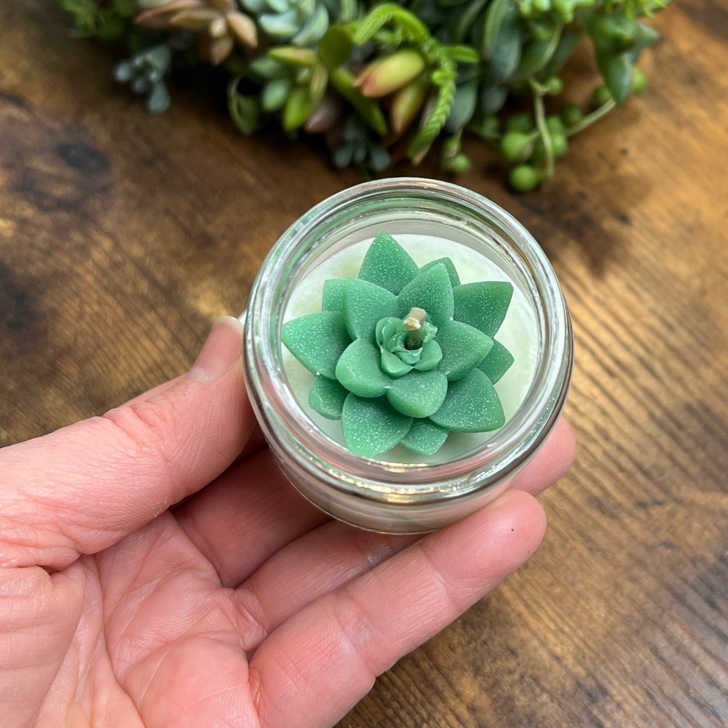 MIni Succulent Travel Candle, 2 oz Cactus Blossom Scent (Copy)
