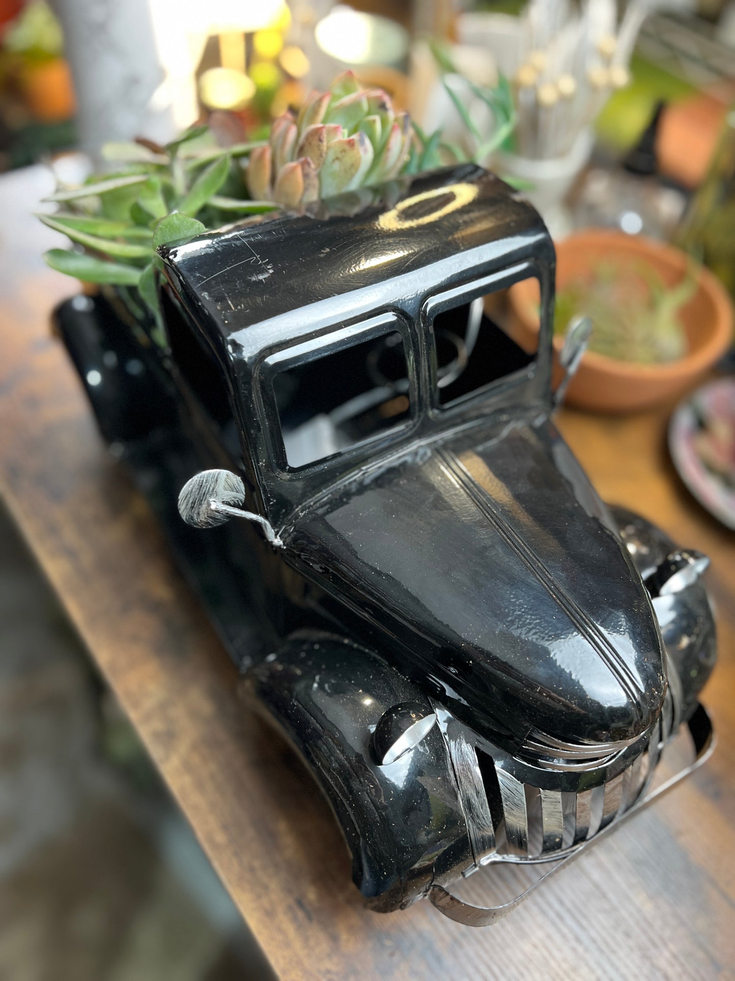 Large Succulent Truck
