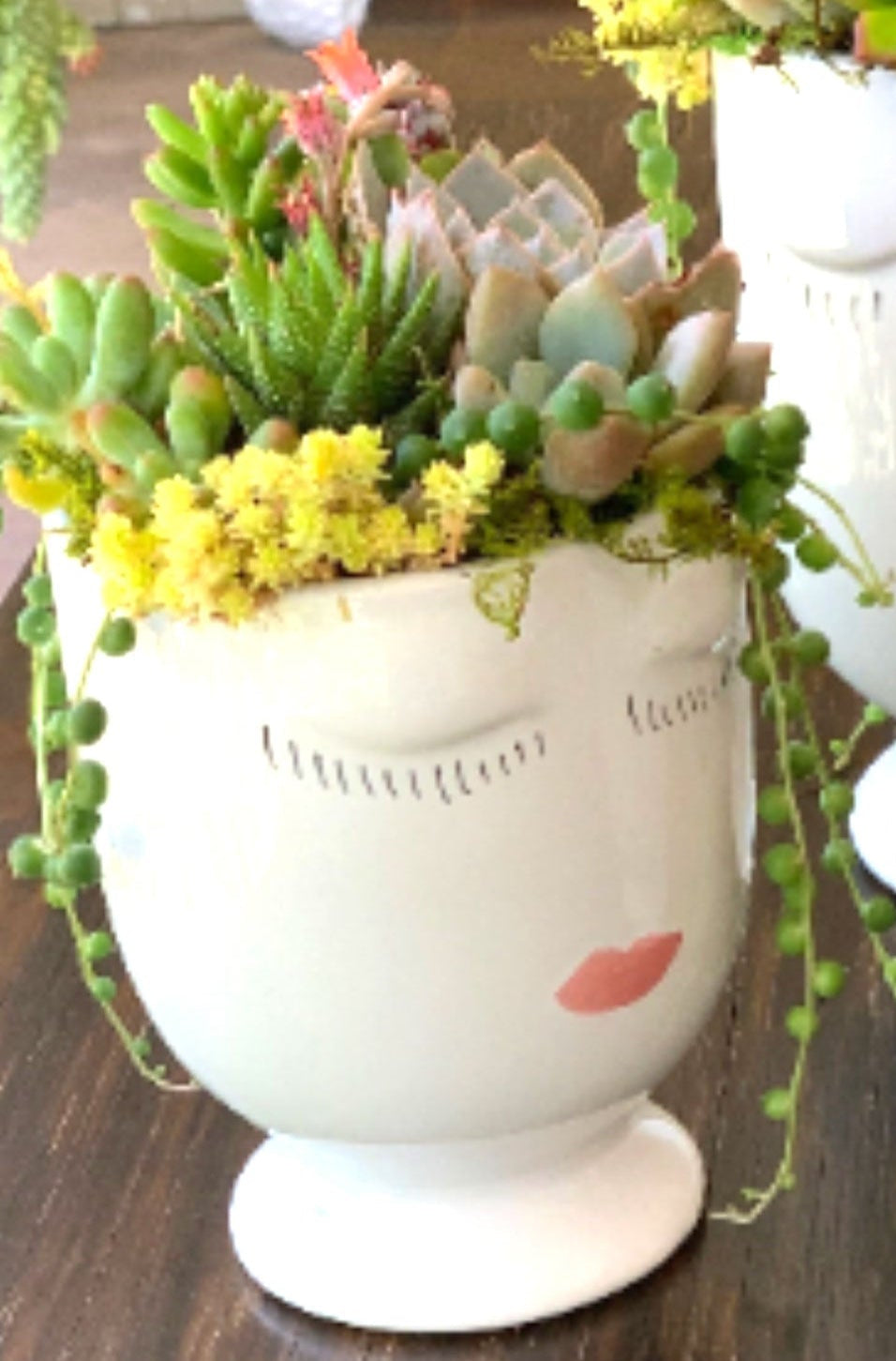 You Grow Girl Mug with Succulent