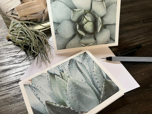 Succulent Photo Note Cards, set of 6 A2 size