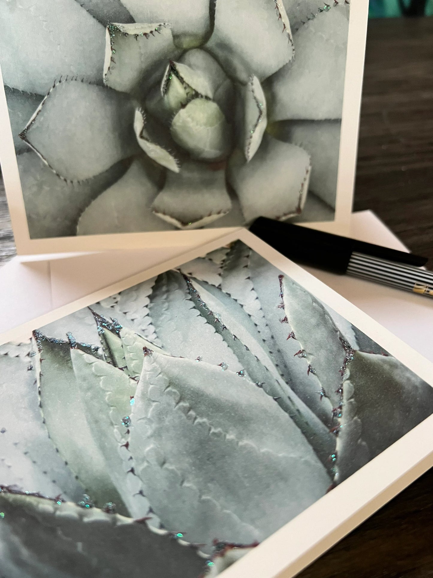 Succulent Photo Note Cards, set of 6 A2 size