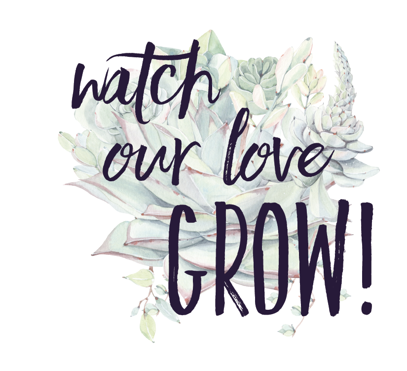 Succulent Wedding Favors with Plant Pun Love Tags, Plant Favors with Hand Sewn Burlap Wraps, Custom Wedding Tags, Succulent Theme