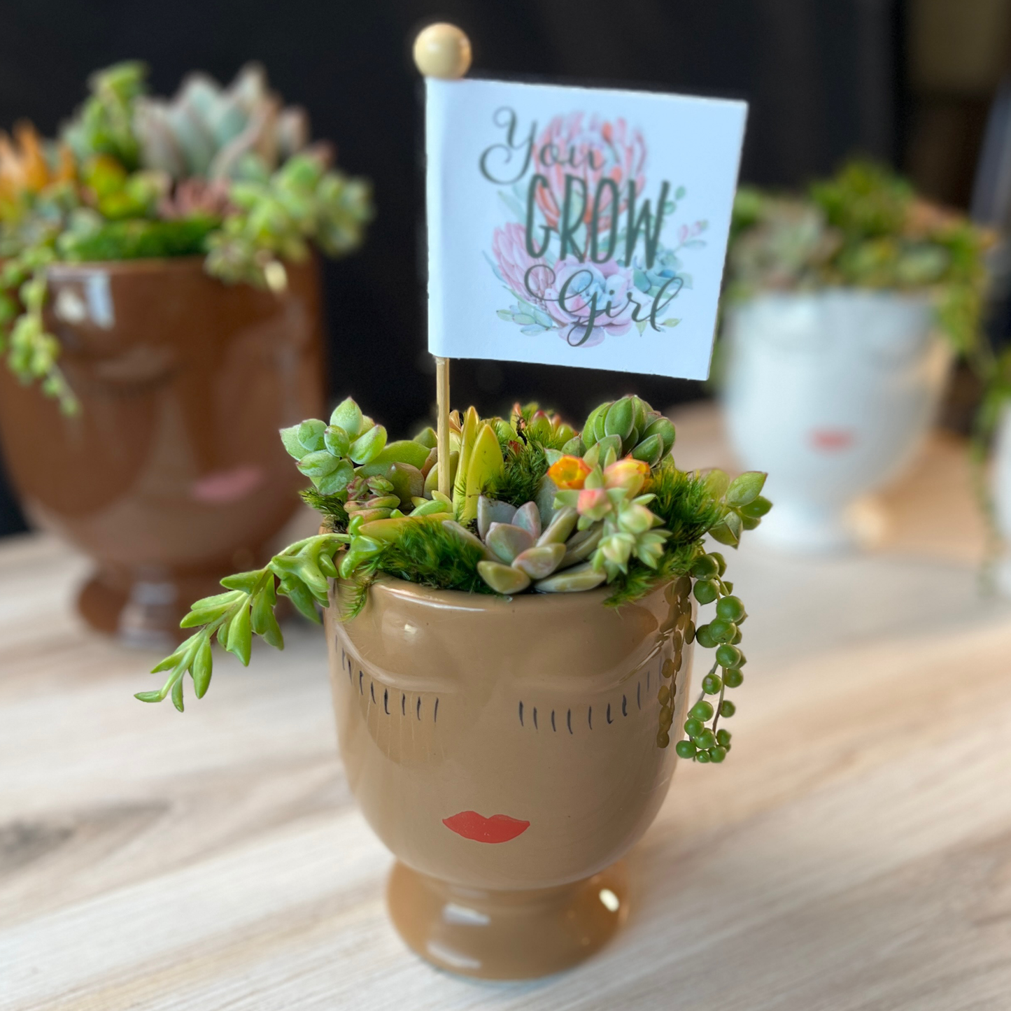 You Grow Girl Succulent Arrangement