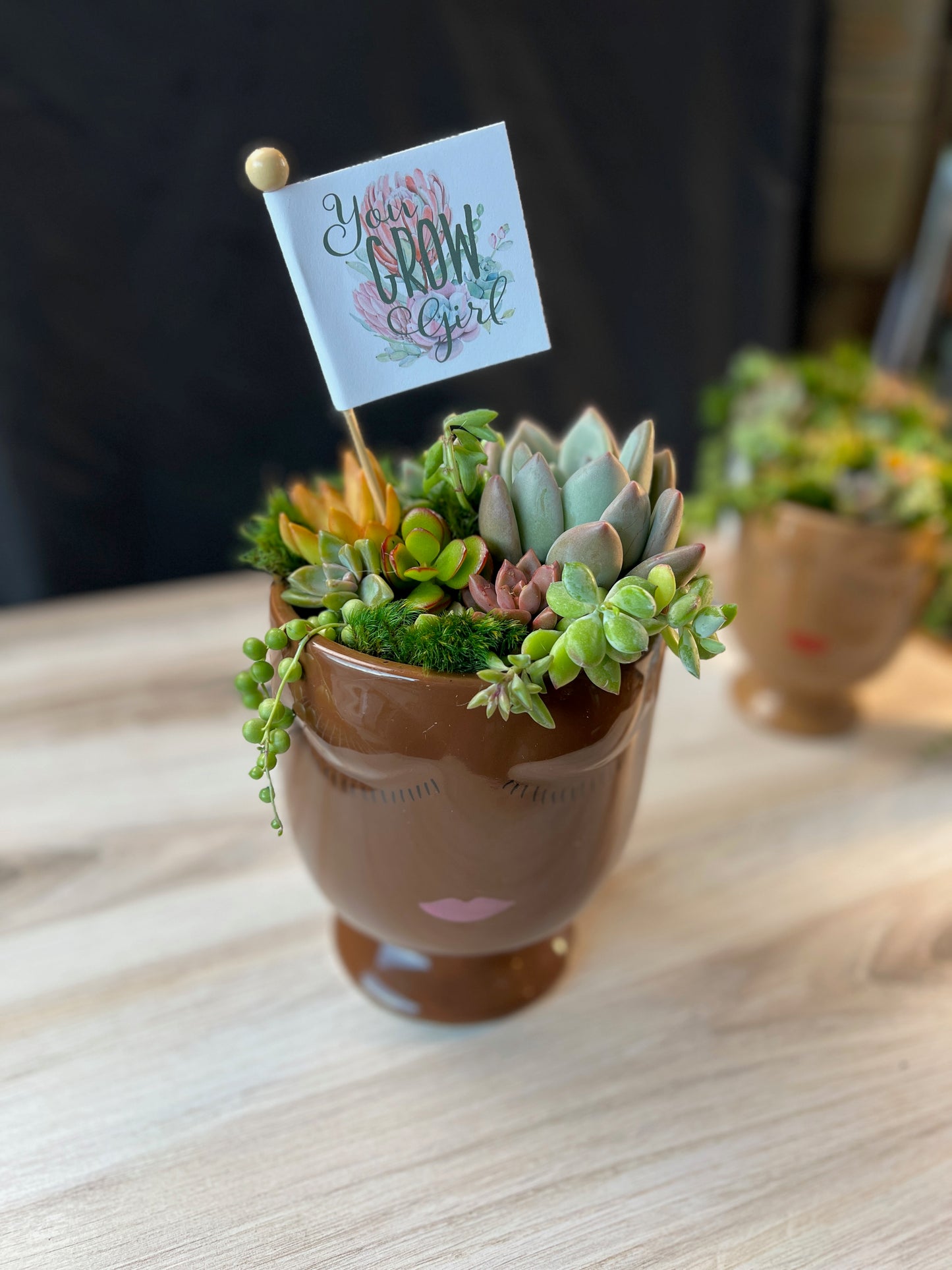 You Grow Girl Succulent Arrangement