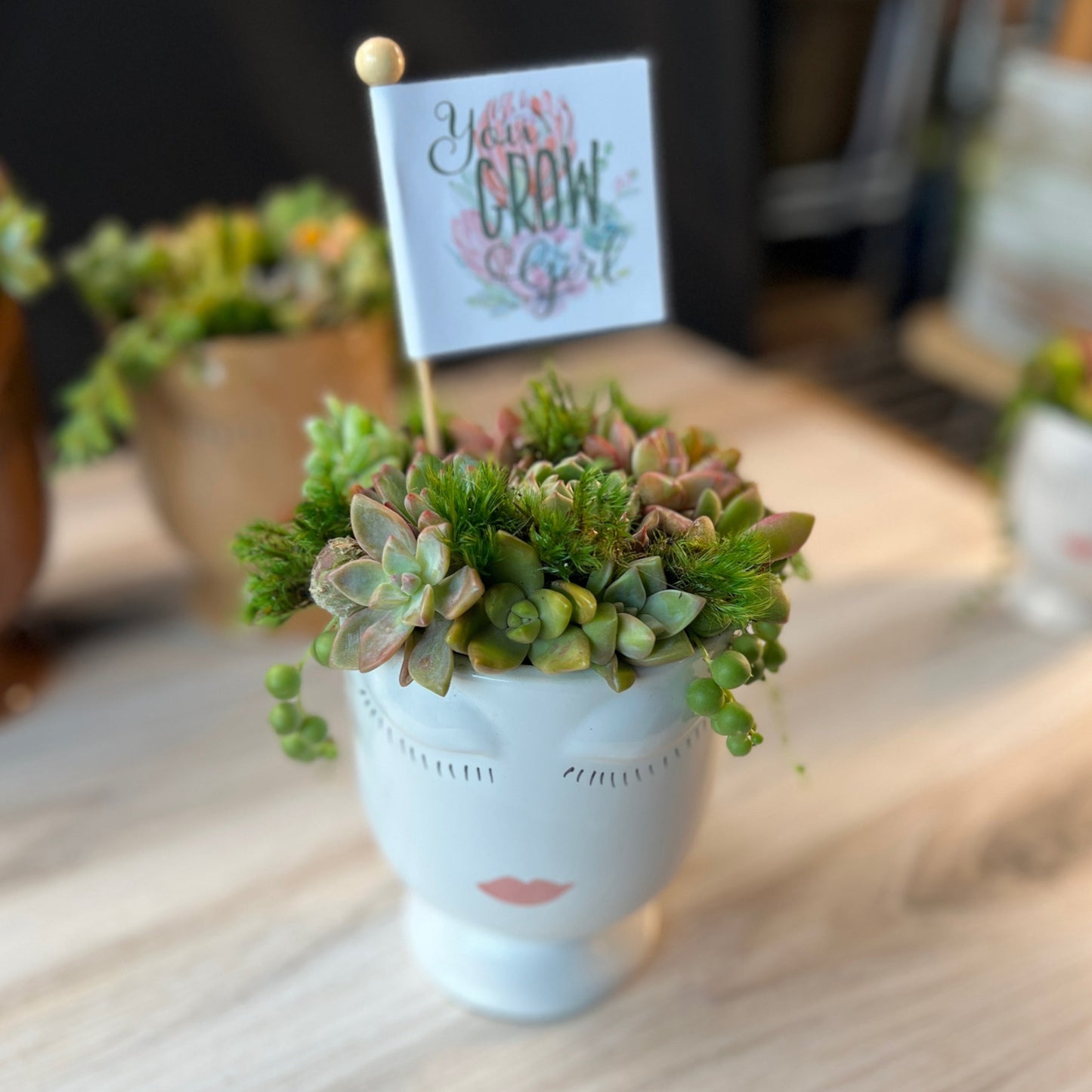 Fun You Grow Girl Succulent Arrangement