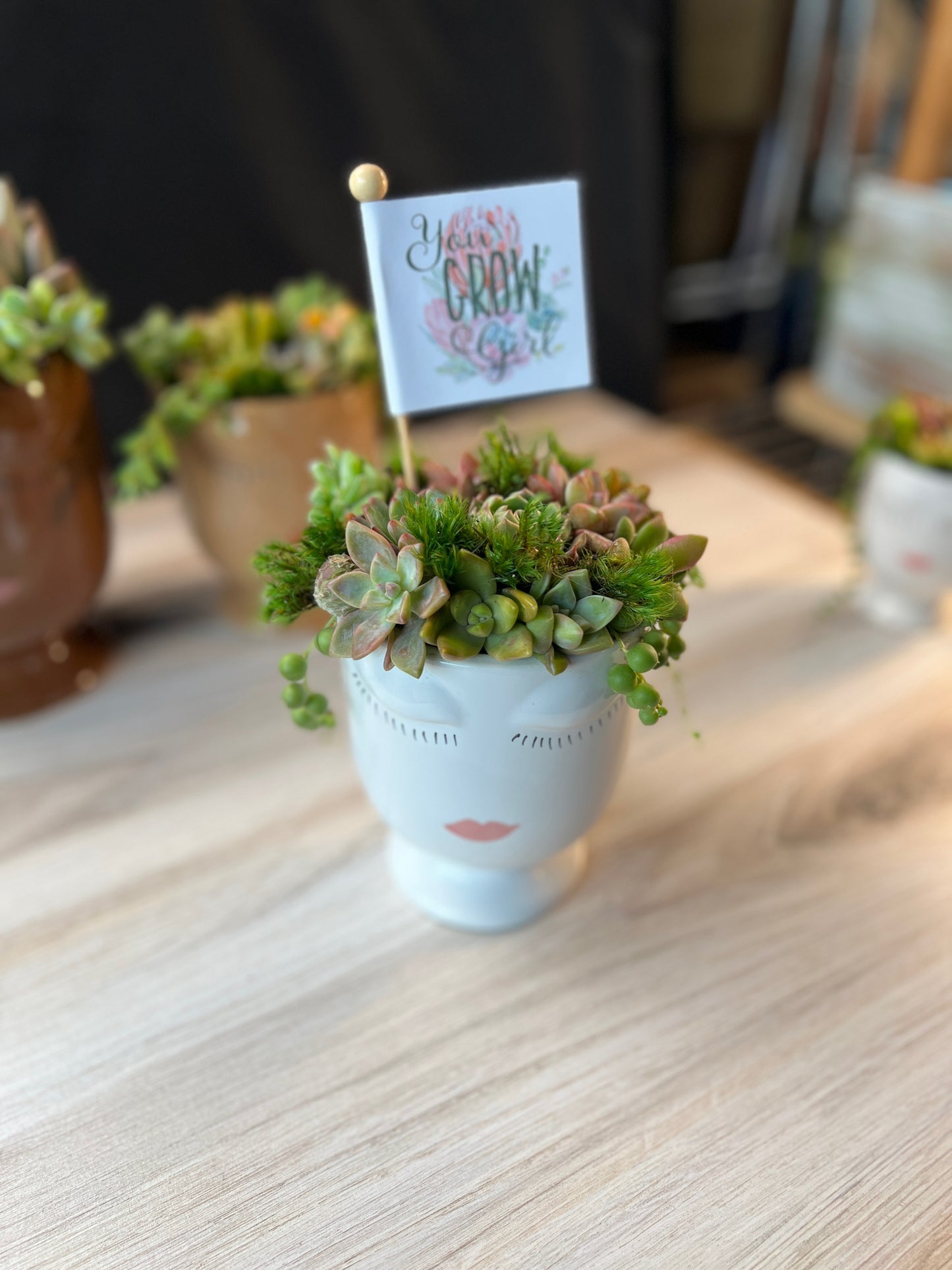 You Grow Girl Succulent Arrangement