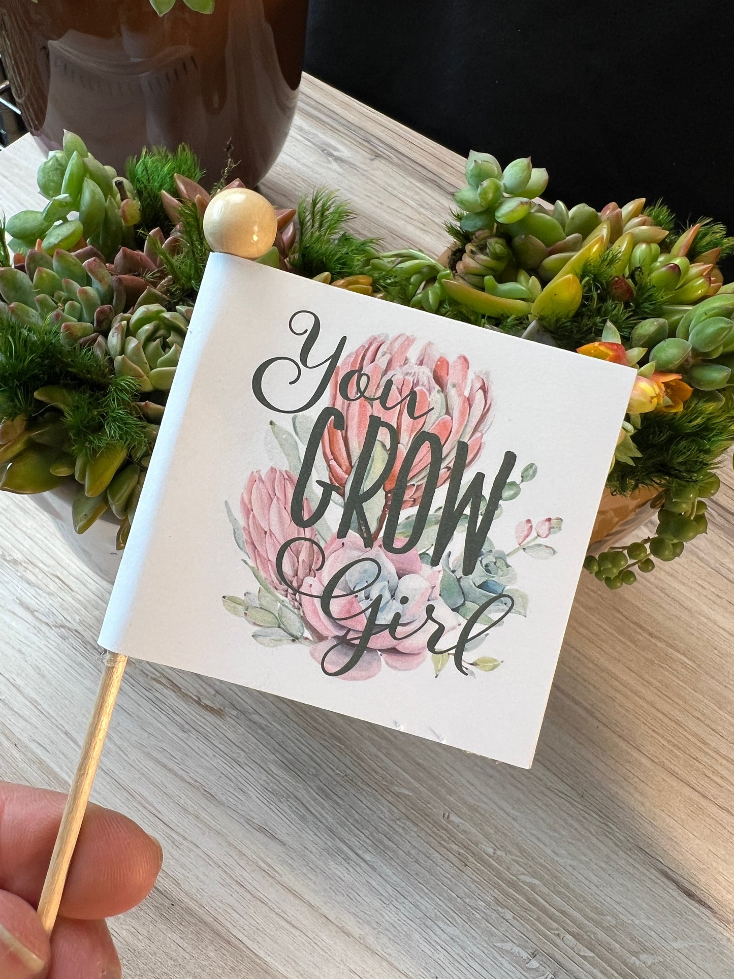 Girl Succulent Pot, You Grow Girl Succulent Arrangement (SM)