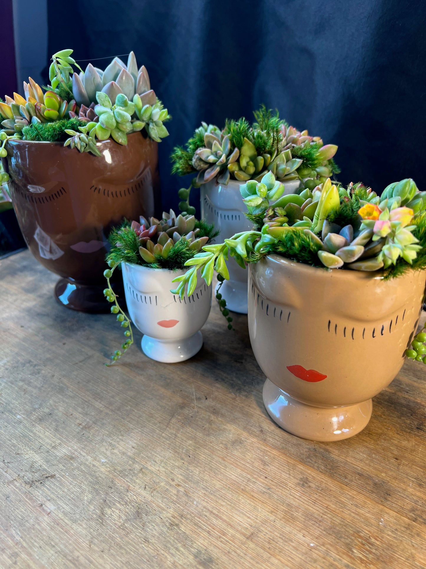 You Grow Girl Succulent Arrangement
