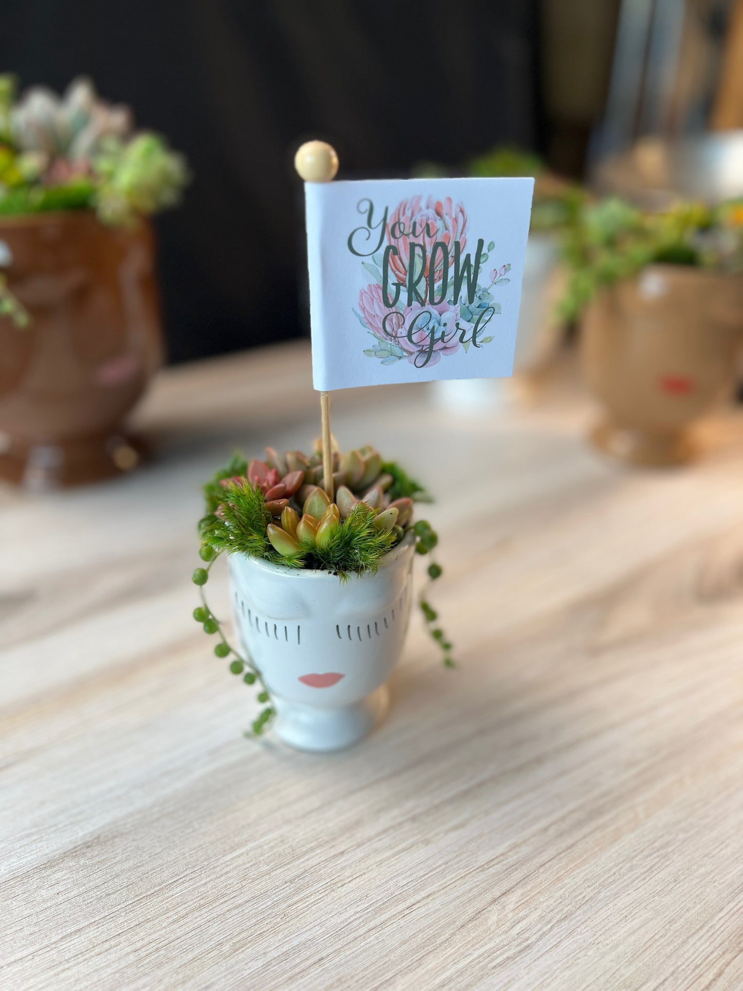 You Grow Girl Succulent Arrangement
