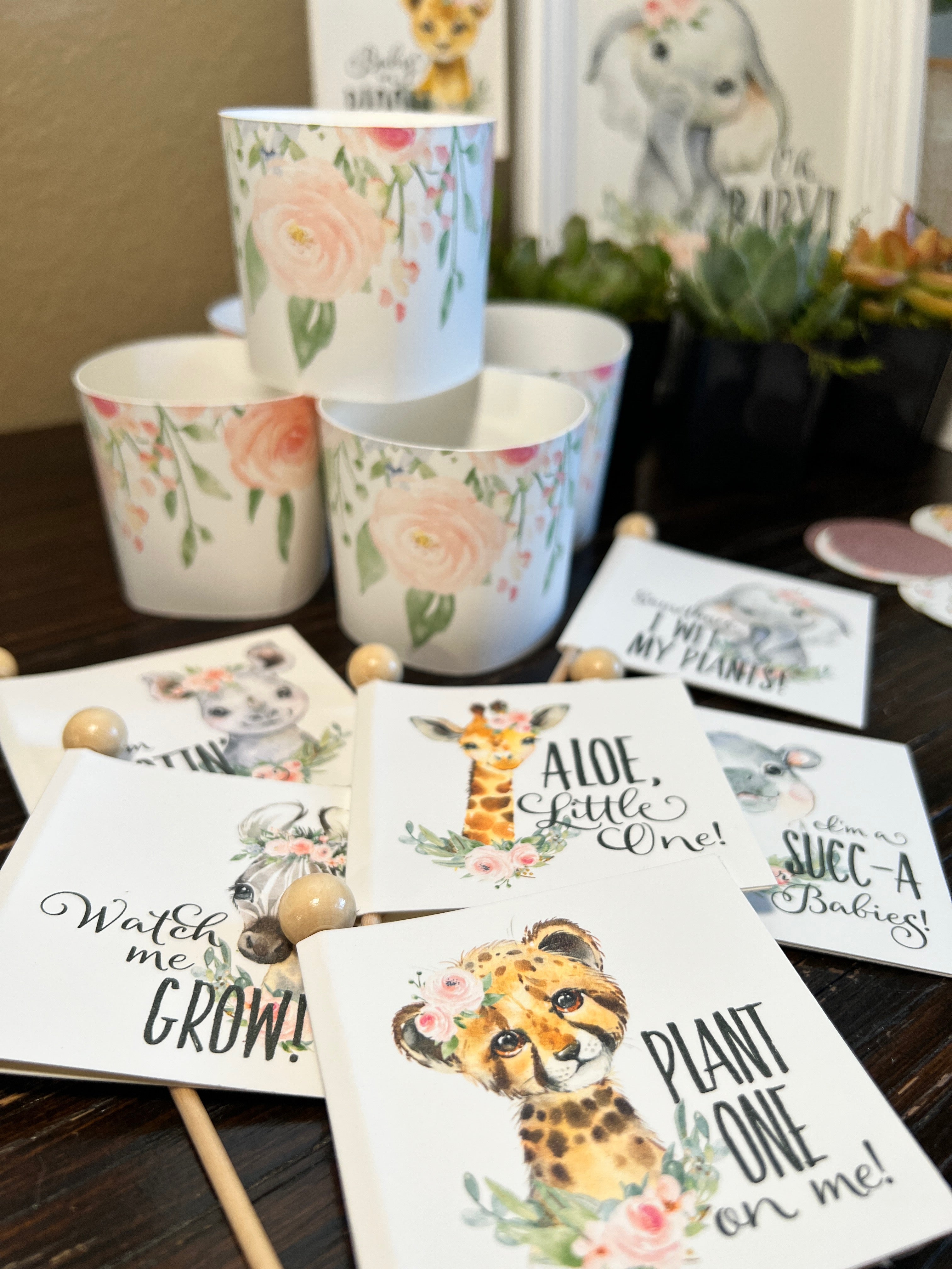 Baby Showers – Succulent Favors & Plant Gifts by Sorella Minchella