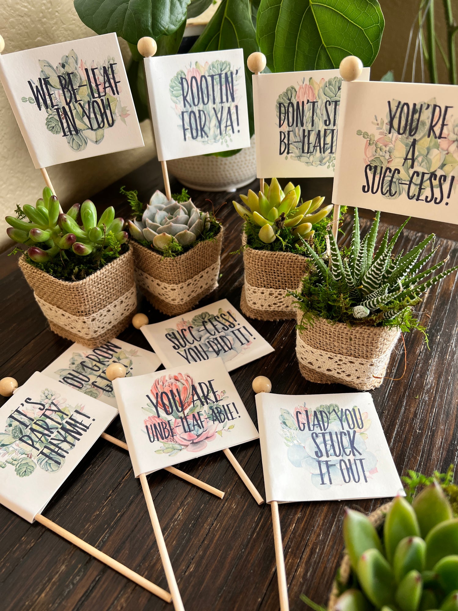 Party Favors & Tags