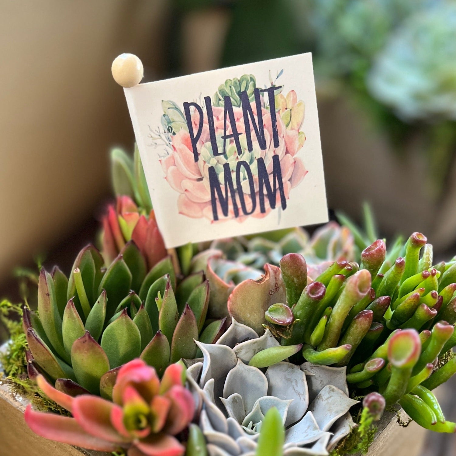 Mother's Day Gifts