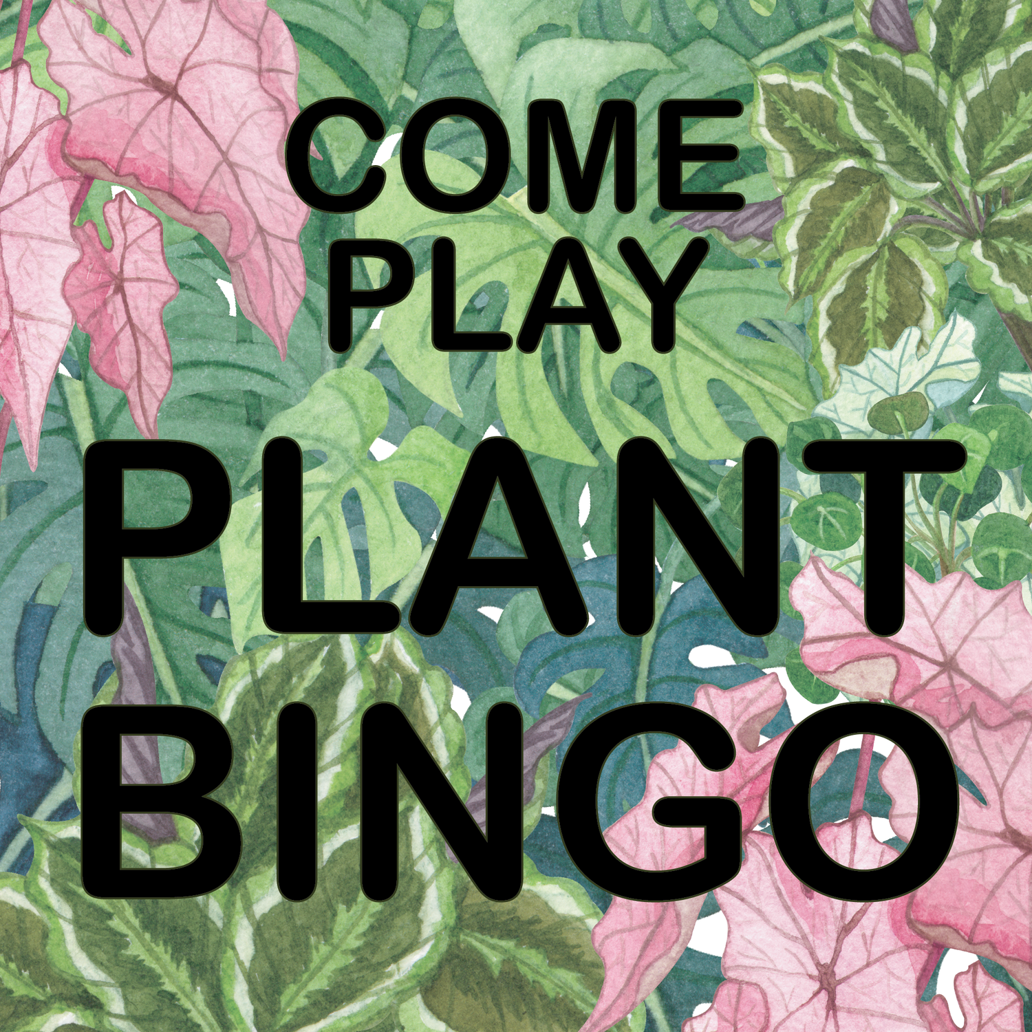 Plant Bingo