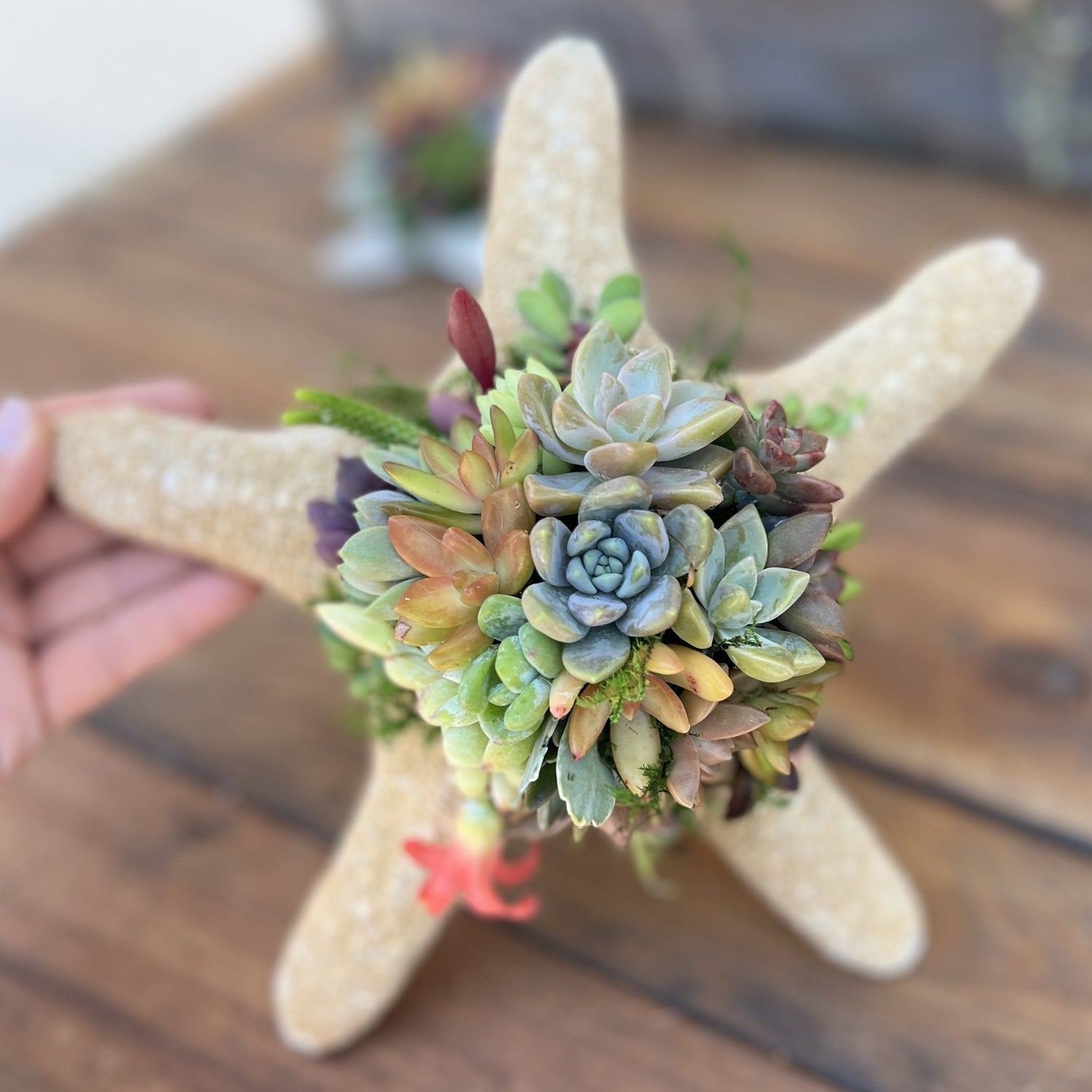 Plant themed Gifts, Plant Pun Gifts