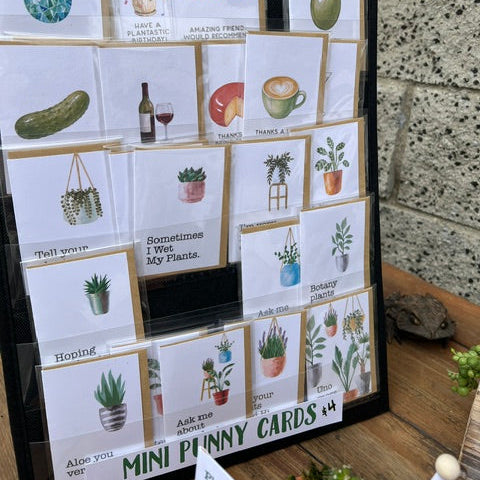 Pop Up Shop for Locals