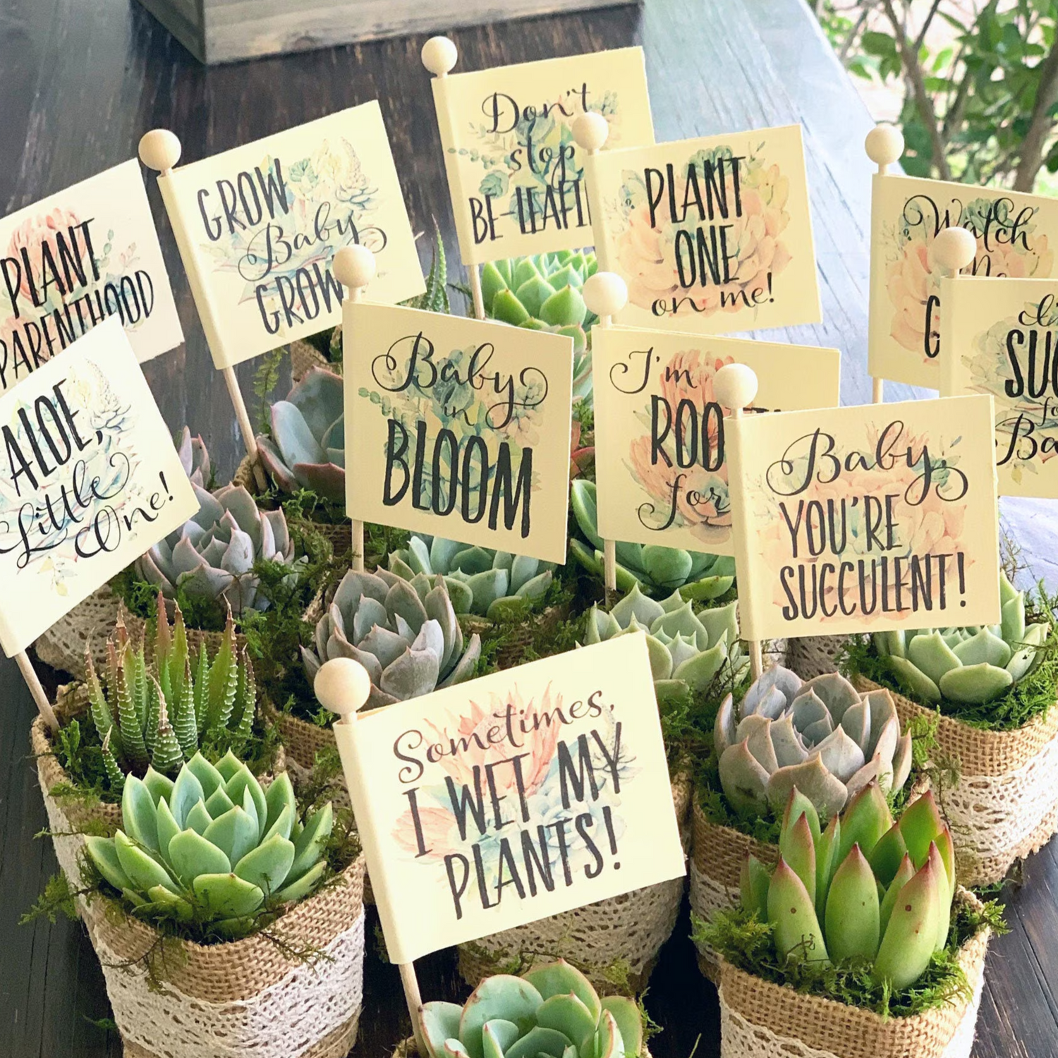 Baby Showers