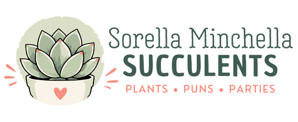 Succulents & Plant Gifts by Sorella Minchella