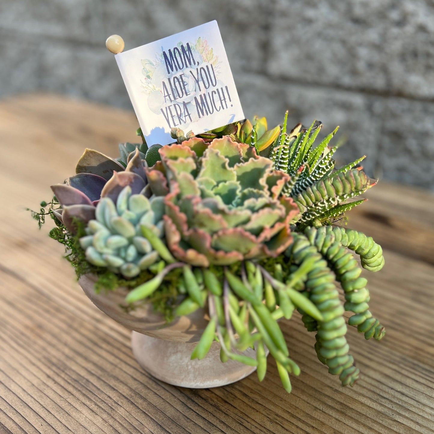 Succulent arrangement in ceramic birdbath