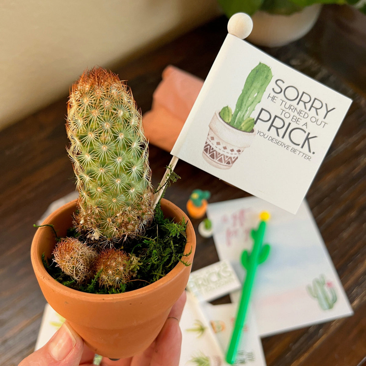 Breakup Gift Snarky Cactus Prick Pun Divorce Care Package