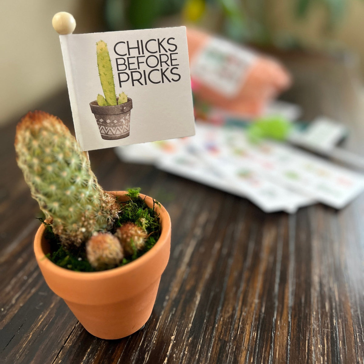 Breakup Gift Snarky Cactus Prick Pun Divorce Care Package