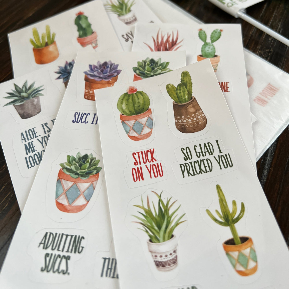 Breakup Gift Snarky Cactus Prick Pun Divorce Care Package
