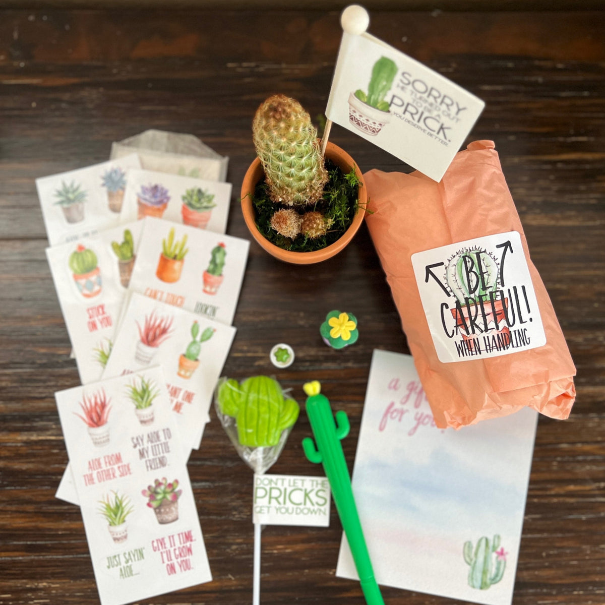 Breakup Gift Snarky Cactus Prick Pun Divorce Care Package
