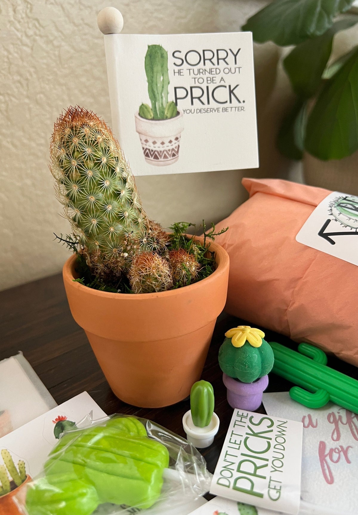 Breakup Gift Snarky Cactus Prick Pun Divorce Care Package