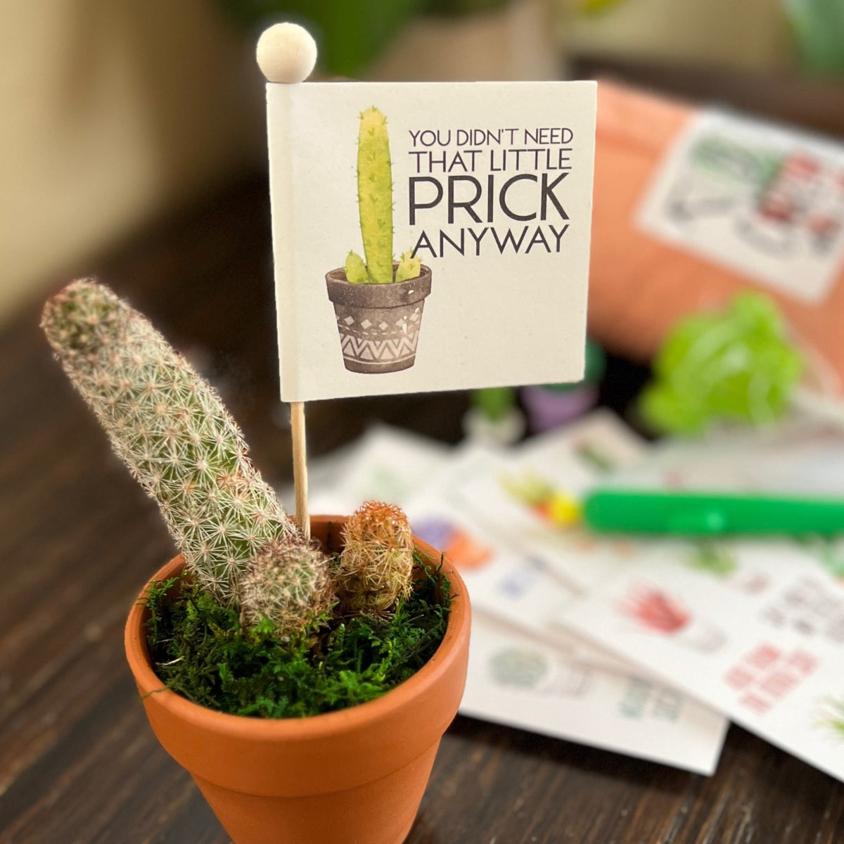 Breakup Gift Snarky Cactus Prick Pun Divorce Care Package