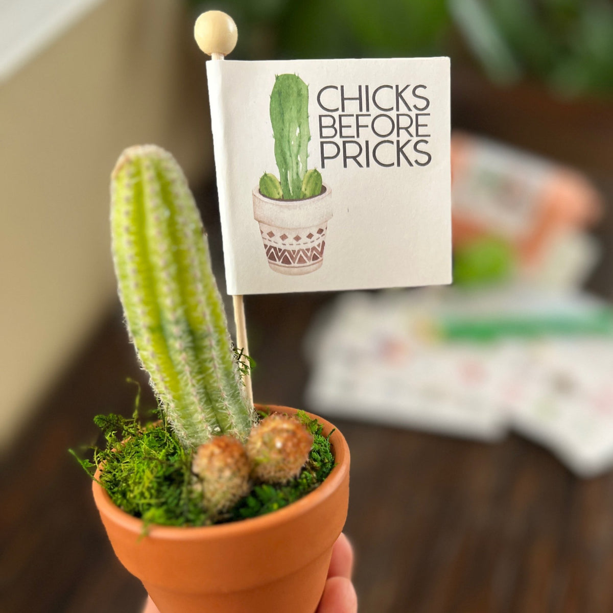 Breakup Gift Snarky Cactus Prick Pun Divorce Care Package