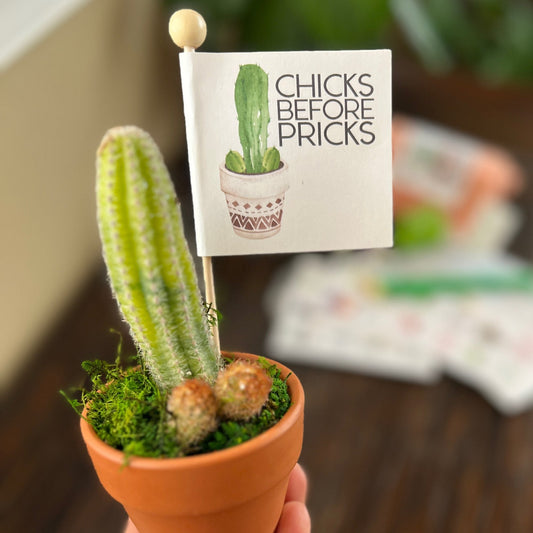 Breakup Gift Snarky Cactus Prick Pun Divorce Care Package