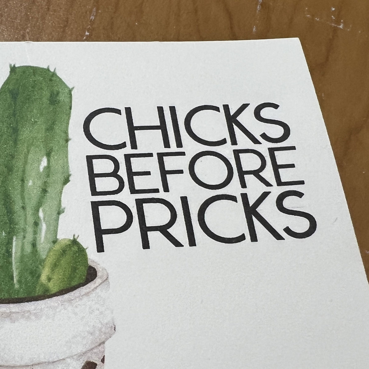 Breakup Gift Snarky Cactus Prick Pun Divorce Care Package