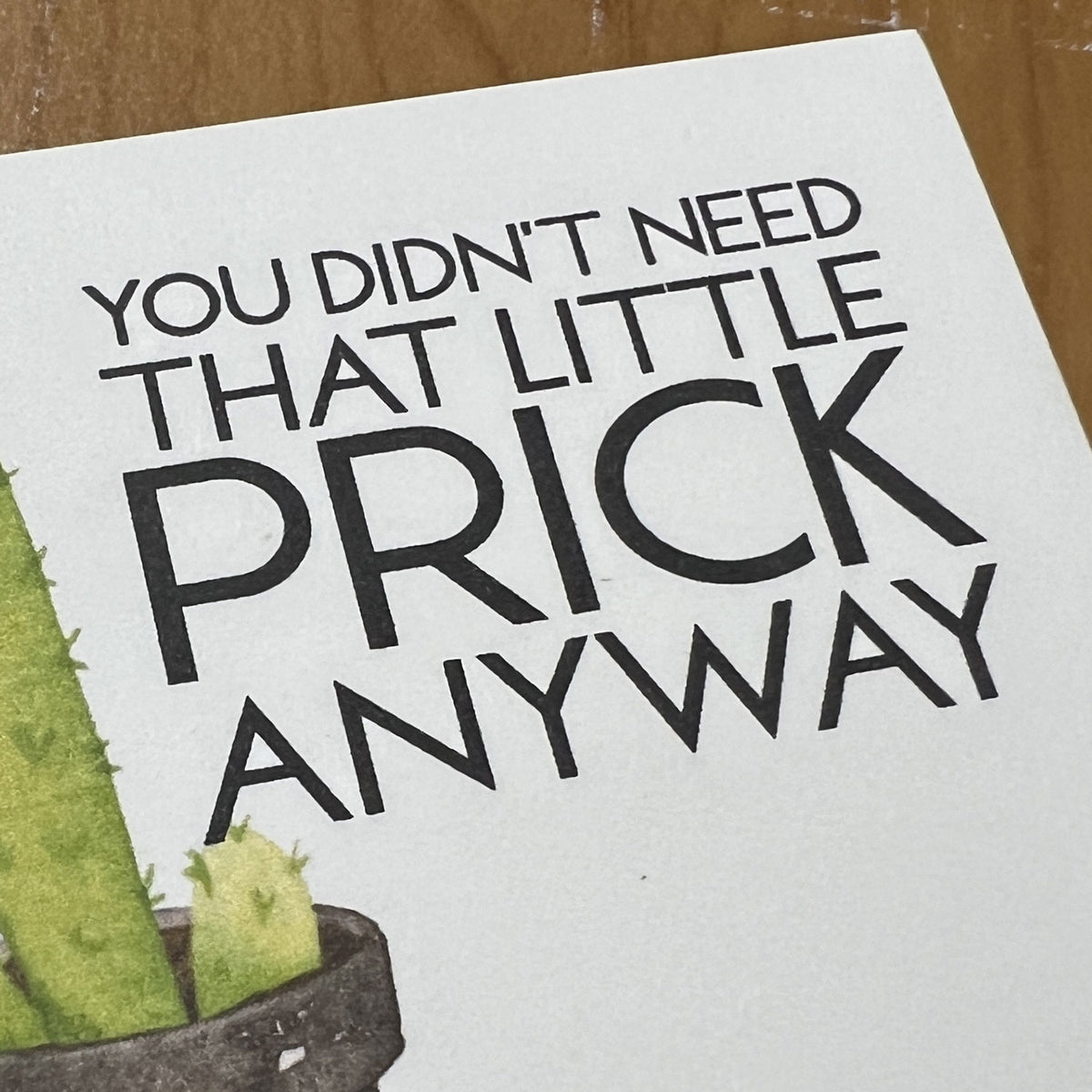 Breakup Gift Snarky Cactus Prick Pun Divorce Care Package