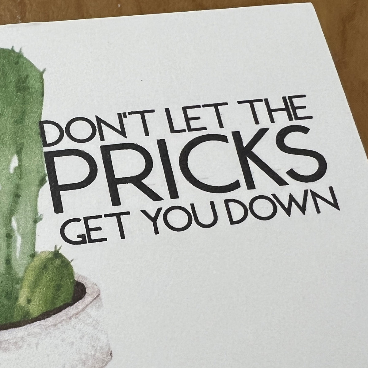 Breakup Gift Snarky Cactus Prick Pun Divorce Care Package